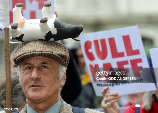 Retired British farmer Richard Harward wearing a culled cow on his hat shouts slogans outside the Ministry for agriculture, fisheries and food during...