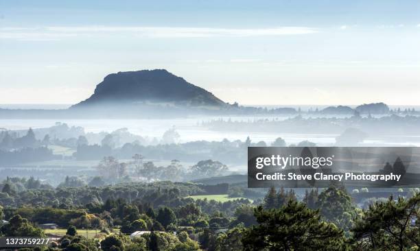 misty morning at mount maunganui - tauranga stockfoto's en -beelden