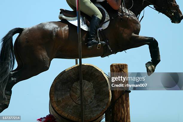 equestrian jumper on blue - equestrian cross country stock pictures, royalty-free photos & images