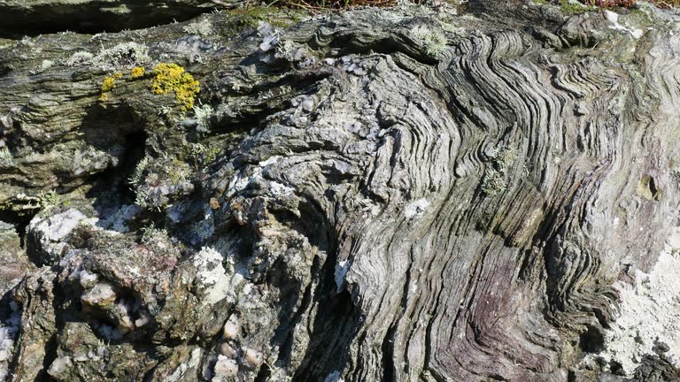 Folded Pattern On Rocks 163 Folded Rock Stock Videos, Footage, & 4K Video Clips - Getty Images