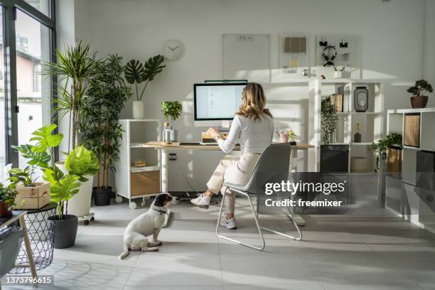 woman working in modern office - blonde hair back stock pictures, royalty-free photos & images