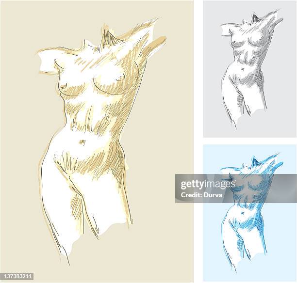 stockillustraties, clipart, cartoons en iconen met woman torso - blue mountains