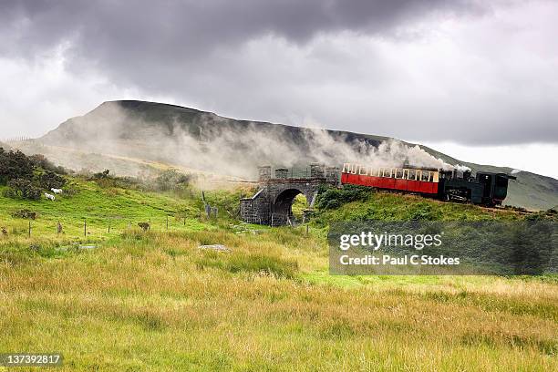 mountain railway - countess of snowdon stockfoto's en -beelden