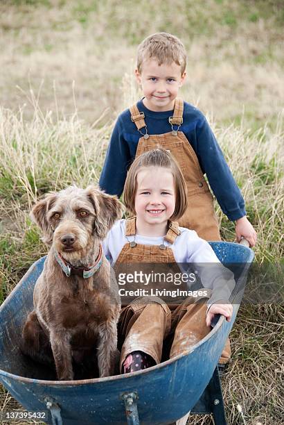 brother & sister with their pet - wheelbarrow stock pictures, royalty-free photos & images