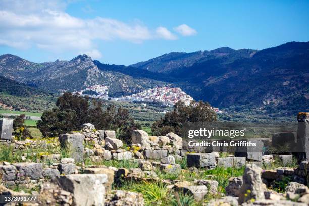 moulay idriss, middle atlas, morocco - moulay idriss photos et images de collection