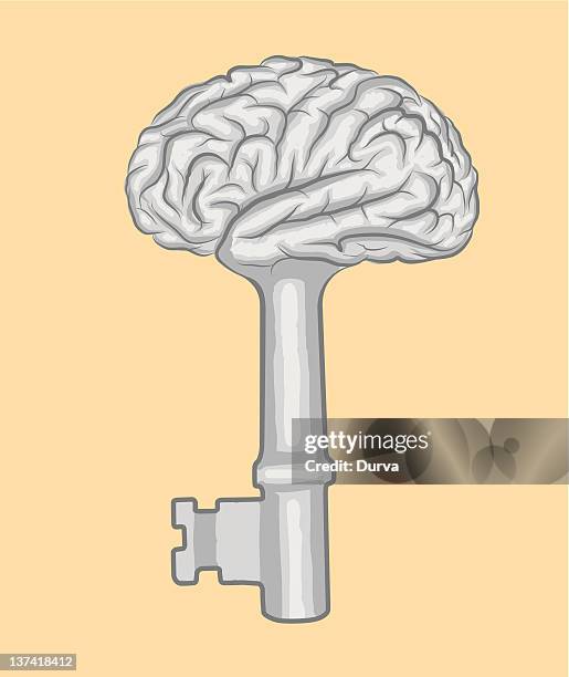 681 Brain Key Stock Photos, High-Res Pictures, and Images - Getty Images