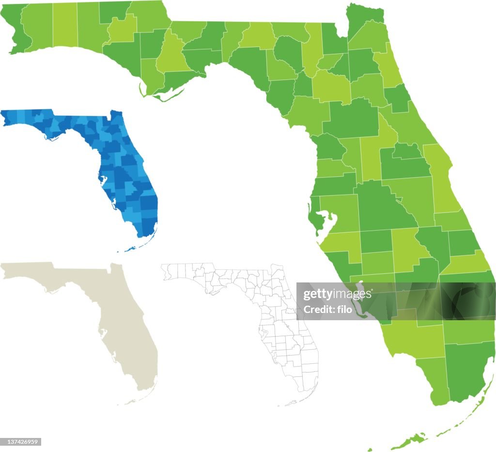 Florida Maps In Color Florida County Map Vector
