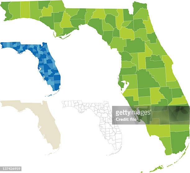 florida county map - gulf coast states stock illustrations