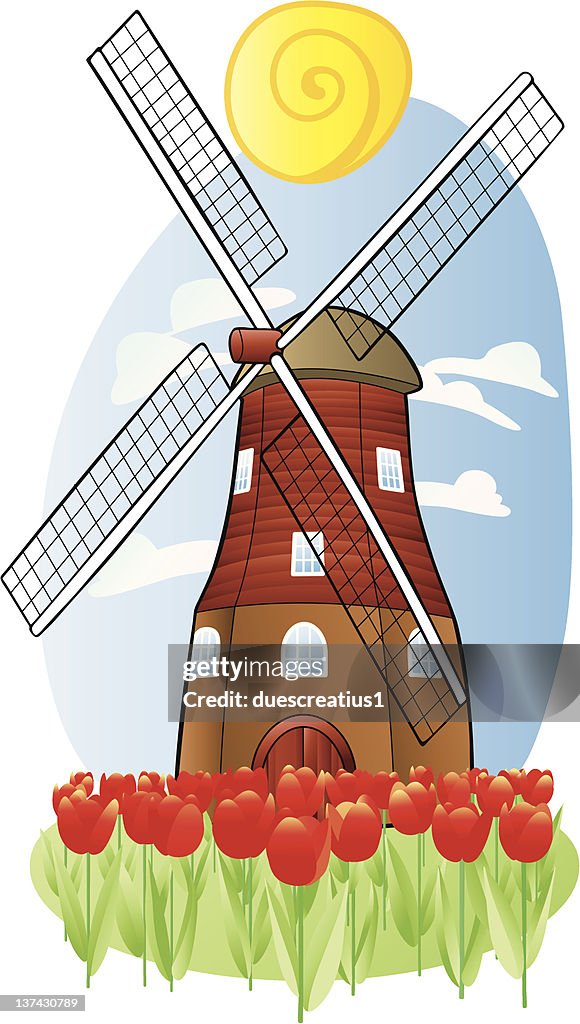 Tulip and Windmill
