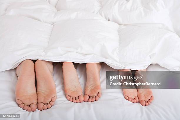 Three Feet 14,765 Three Feet Stock Photos, High-Res Pictures, and Images - Getty ...