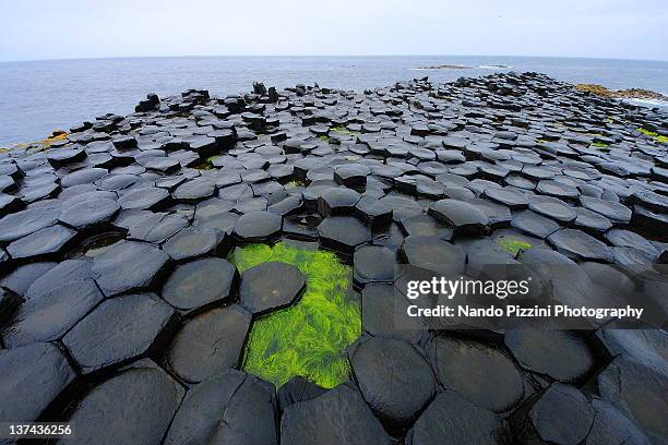 giant's causeway - giant's causeway stock pictures, royalty-free photos & images