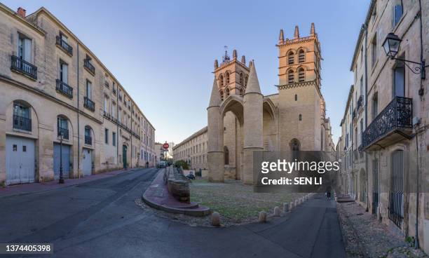 panoramic view of saint-pierre cathedral and the street in montpellier, france - montpellier stockfoto's en -beelden