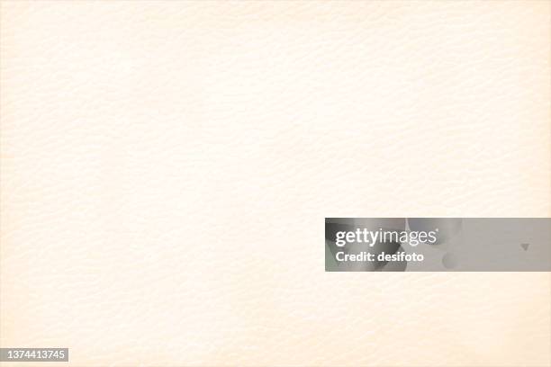 ilustraciones, imágenes clip art, dibujos animados e iconos de stock de fondos vectoriales horizontales grunge de color leonado o beige o color crema efecto grunge que está en blanco y vacío - piel