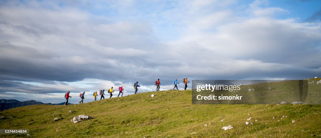 Gruppe von Wanderern mit Wanderstöcken wandern auf grasbewachsenen Hügeln