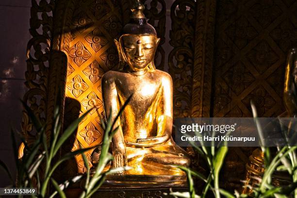 a golden bubba in a temple - buda fotografías e imágenes de stock