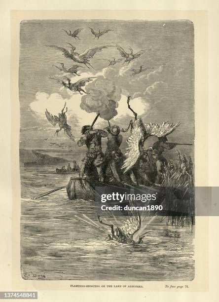 hunters shooting flamingo on lake of albufera, hunting in spain, gustave dore, 19th century - comunidad autonoma de valencia stock illustrations