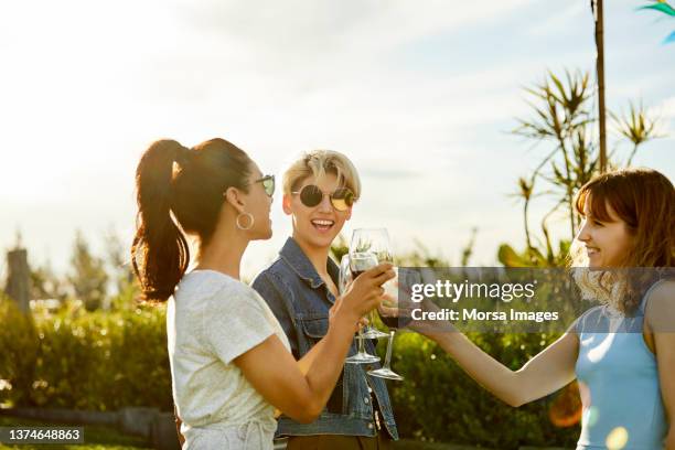 friends toasting wineglasses during asado party - wijn tuin stockfoto's en -beelden