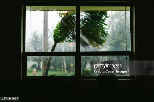 3.945 Storm Outside Window Stock Photos, High-Res Pictures, and Images ...