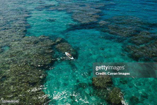 standup paddle boarding over the coral reefs in the east china sea - gezeitentümpel stock-fotos und bilder