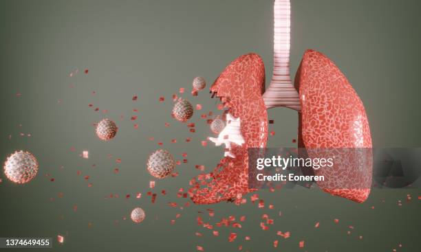 viruses attacking to human lung - menselijke luchtpijp stockfoto's en -beelden