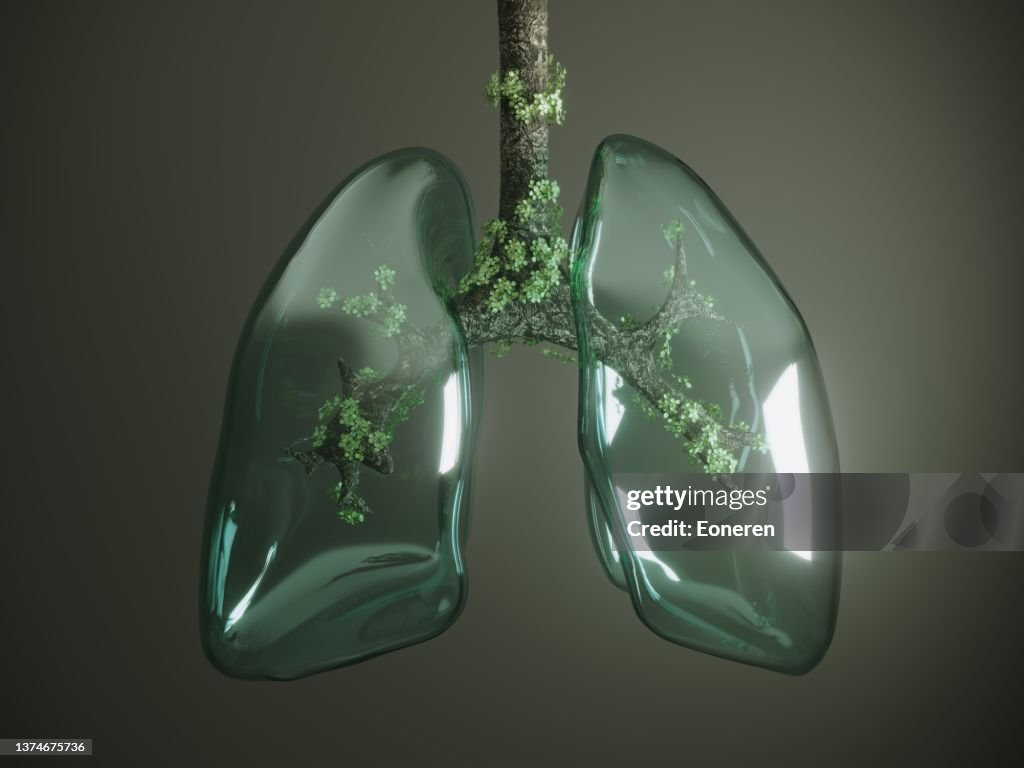 Glass lung