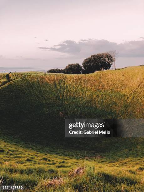 mount eden's crater auckland - auckland stock-fotos und bilder