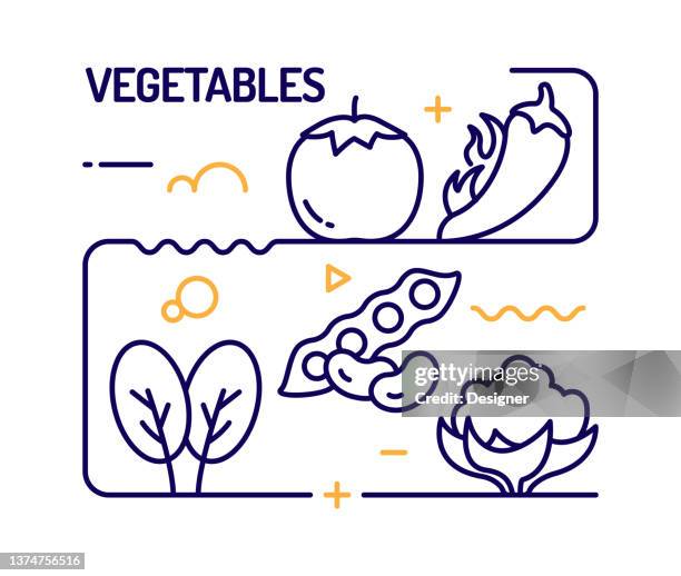 vegetables concept, line style vector illustration - almonds stock illustrations