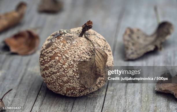 close-up of rotten fruits on table,latvia - dry fruits stock pictures, royalty-free photos & images