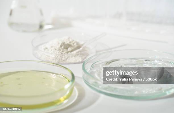 laboratory petri dishes with growth medium or culture medium and - agar jelly stock pictures, royalty-free photos & images