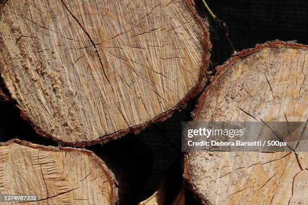 Wood Log Frame Photos and Premium High Res Pictures - Getty Images
