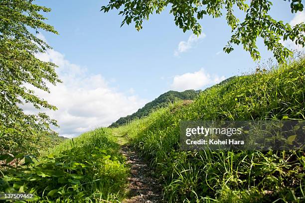 Smallridge Path 23,309 Small Hill Stock Photos, High-Res Pictures, and Images - Getty ...
