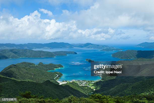 rugged coastline with lush green forest - amami stockfoto's en -beelden