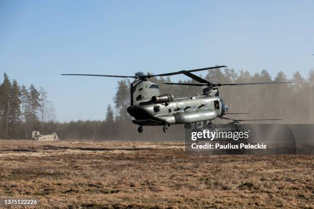 Army and Royal Air Force Chinook helicopters landing in field on March 1, 2022 in Kazlu Ruda, Lithuania. Saber Strike 2022 is an element of the...