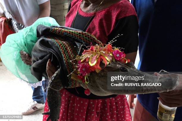 Villagers walk a spectacled caiman called "La Niña Princesa" , dressed as a bride, before being married to the Mayor in San Pedro Huamelula, Oaxaca...