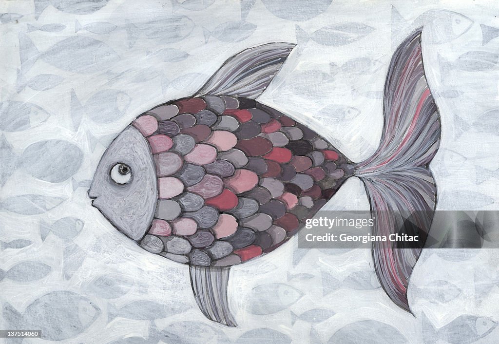 Pink fish