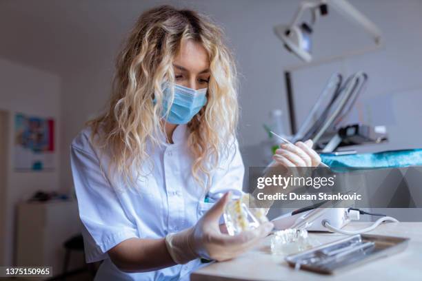 female dental hygienist practise her periodontal cleaning on the teeth model - periodontal imagens e fotografias de stock