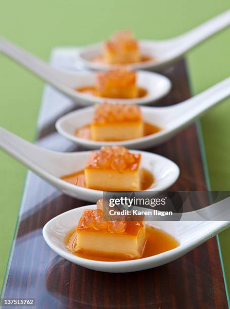 leche flan with sago - pudim-de-leite imagens e fotografias de stock