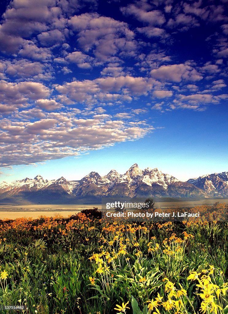 Grand Tetons mountain