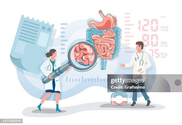 ilustraciones, imágenes clip art, dibujos animados e iconos de stock de ilustración vectorial plana dos médicos observando el estómago y el sistema digestivo - digestión