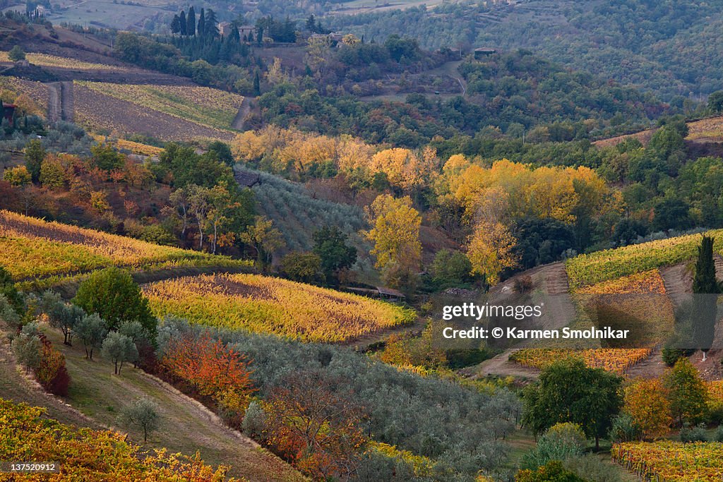 Autumn At Tuscany High Res Stock Photo Getty Images autumn-at-tuscany-high-res-stock-photo-getty-images
