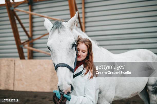 veterinarian with horse - paardachtigen stockfoto's en -beelden