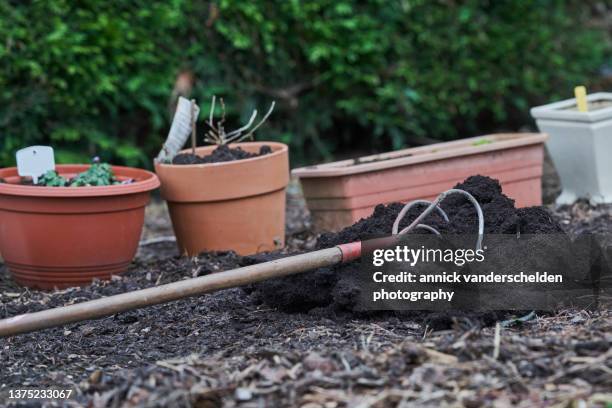 Compost Hedging Planting Hedge Photos and Premium High Res Pictures - Getty Images