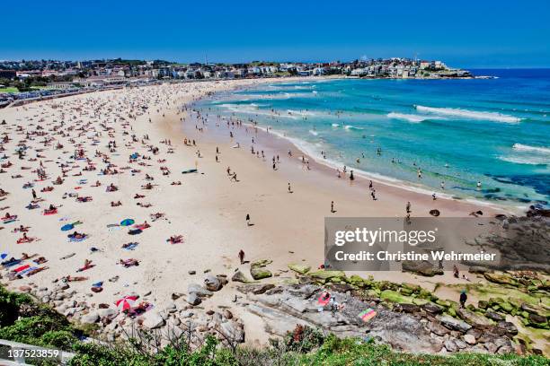 bondi beach - strand bondi beach stock-fotos und bilder