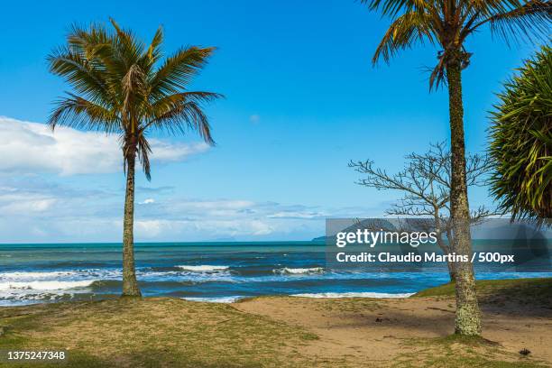 mouths of the sea,scenic view of sea against sky,brazil - forte beach photos et images de collection