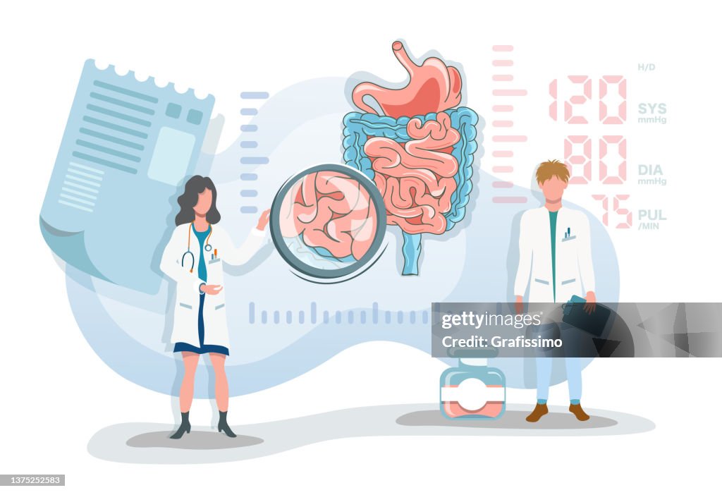 Flat vector illustration two doctor discribing digestive system