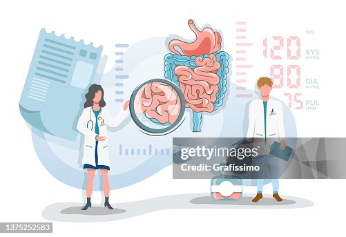 Flat vector illustration two doctor discribing digestive system Flat vector illustration two doctor discribing digestive system