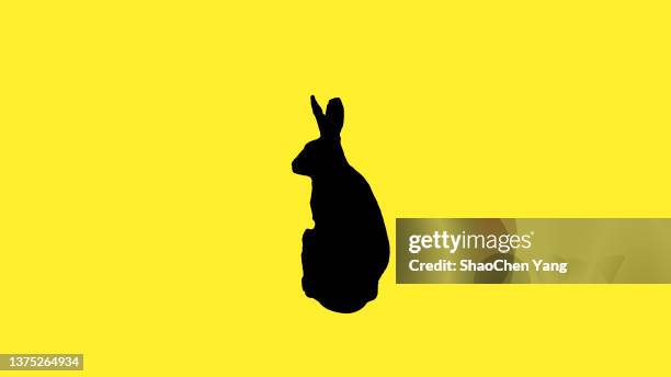 rabbit in black silhouette - bunnies stock pictures, royalty-free photos & images