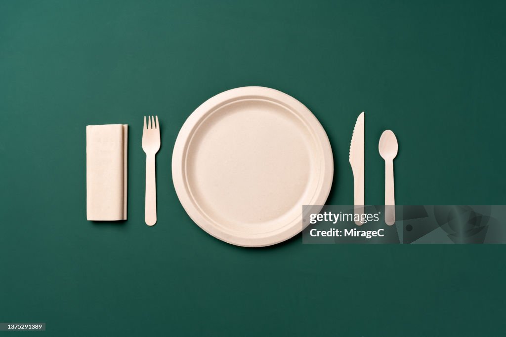 Plastic Free Disposable Paper Plate With Wooden Eating Utensils Table Setting