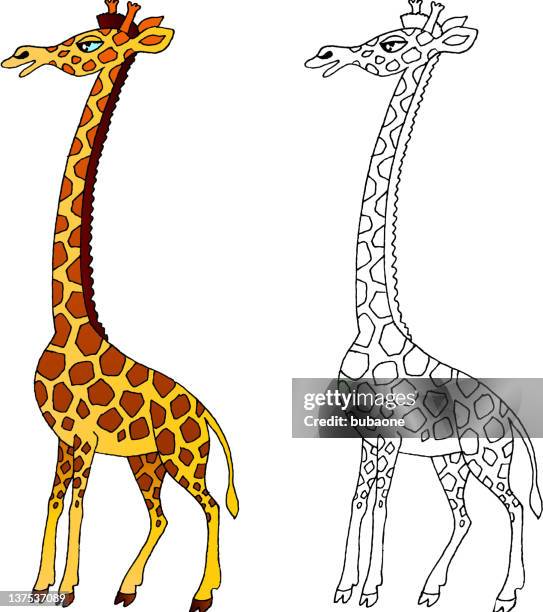 11点のマサイキリンイラスト素材 Getty Images 11点のマサイキリンイラスト素材 Getty Images