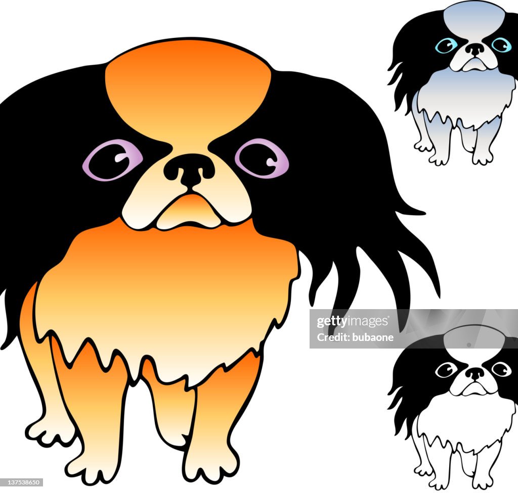 Tibetan spaniel